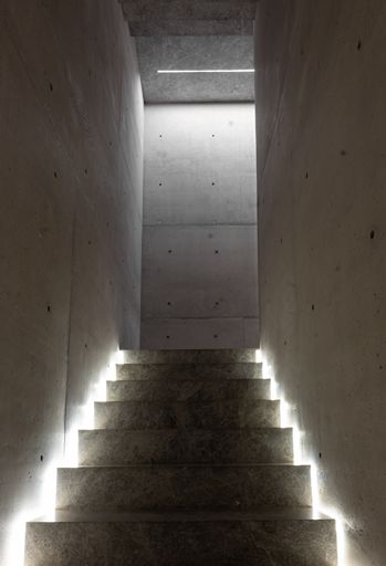 LAM_ALS_010 LAM_ALS_010